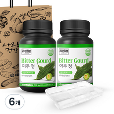 참앤들황토농원 국산 여주 정 + 알약케이스 + 쇼핑백, 90정, 6개