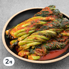 원해원 갓김치, 2kg, 2개