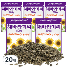 리프패럿 냠냠푸드 소동물 해바라기씨, 500g, 20개