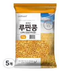 건강한밥상 루핀콩, 1kg, 5개