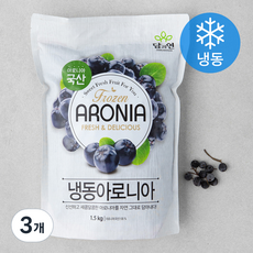 담과연 냉동 아로니아 (냉동), 1.5kg, 3개