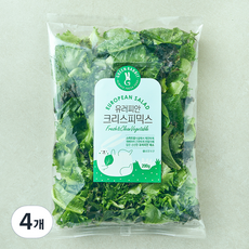그린래빗 유러피안 크리스피믹스 샐러드, 200g, 4개