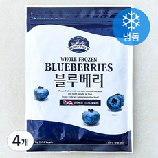 미국산 베리필드 블루베리 (냉동), 4개, 1kg