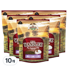 펫츠핸들러 기니피그 전용사료, 700g, 10개