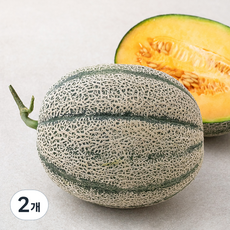 올바른과일 에어포장 칸탈로프멜론, 2개, 1.2kg