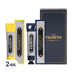 플로토 데이앤나잇 브레스케어 치약 자스민 민트 100g + 프라그케어 포레스트 민트 100g, 200g, 2세트