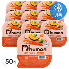 듀먼 전연령용 강아지 오리지널 화식사료, 연어+채소, 50g, 50개