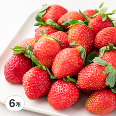 산지직송 예담 설향딸기, 500g(특), 6개