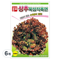아시아종묘 뚝섬 적축면 상추 씨앗 3000p, 6개