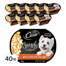 시저 1세 이상 강아지 심플리 크래프티드 습식사료, 닭+고구마, 37g, 40개