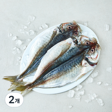 제주어가 생물 손질 전갱이 대 2~3마리 (냉장), 2개, 700g