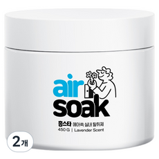 홈스타 에어쏙 강력 실내 고체 탈취제 라벤더향, 450g, 2개