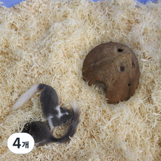 햄찌포근 소프트 쉐이빙 아스펜 베딩, 800g, 4개