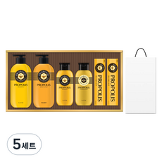 LG생활건강 프로폴리스 에센셜 선물세트 + 쇼핑백, 5세트