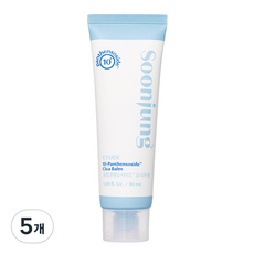 에뛰드 순정 판텐소사이드 10 시카밤, 50ml, 5개