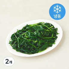 나물투데이 국내산 데친 부지깽이 (냉동), 2개, 250g