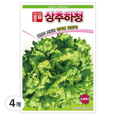 아시아종묘 상추하청 씨앗 3000p, 4개