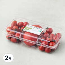 흙살림 친환경 인증 트리플 토마토, 900g, 2개