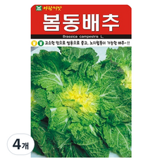 아람종묘 봄동배추 씨앗 5000p, 4개