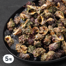 남해안 산지직송 자연산 맵싸리 대숙 고둥 (냉장), 1.5kg, 5개