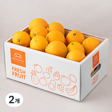 만나다 미국산 고당도 오렌지, 4kg, 2개