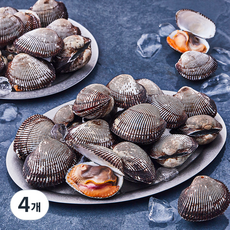 산지직송 부산 13번 중매인 피꼬막 (냉장), 1.5kg, 4개
