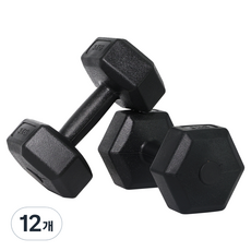 벨리카 홈짐 베이직 육각 덤벨 블랙 DB-01, 3kg, 12개
