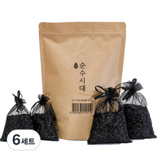 순수시대 활성탄 실내 탈취제 본품 + 망사주머니 4개, 500g, 6세트