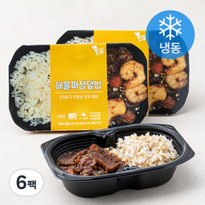 건강한 해물짜장 간편 덮밥 (냉동), 250g, 6팩