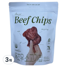 카니비비안 목초우 저염 소고기칩, 100g, 3개