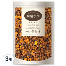 한방선생 국내산 마가목 열매 특품, 100g, 3개