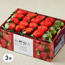 산청 장희딸기, 3개, 750g