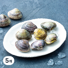 국내산 백합조개 (냉장), 5개, 400g
