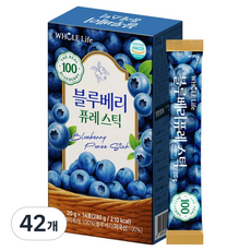 홀라이프 블루베리 퓨레 스틱, 20g, 42개