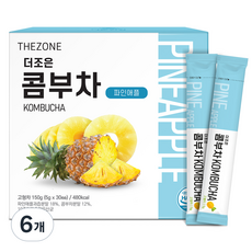 더존건강 더조은 콤부차 파인애플, 5g, 30개입, 6개