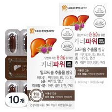 대웅생명과학 가네파워, 30정, 10개