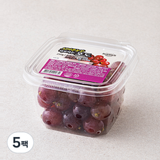 All바른농장 바로먹는 포도, 250g, 5팩