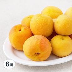 산지직송 아주마 영동 하우스 살구, 6팩, 300g