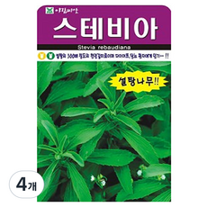 아람종묘 허브 스테비아 씨앗, 4개