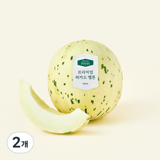 온브릭스 프리미엄 항공직송 피카소 멜론, 2개, 1.5kg