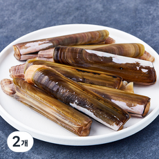 바다림 서해안 산지직송 죽합 6~10미 (냉장), 2개, 500g