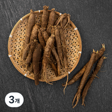 강원도 고랭지 굿향 햇더덕, 650g, 3개