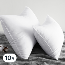NEMOLINE 拉鍊型雲朵枕芯 2入, 單色, 10個