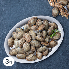 바다자리 생물 물바지락 (냉장), 1kg, 3개
