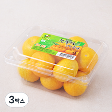 올레길감귤 GAP 인증 쪼꼴락 당도선별 한입 감귤, 500g, 3박스