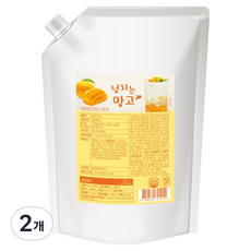 네이쳐티 넘치는 망고 베이스, 1kg, 2개
