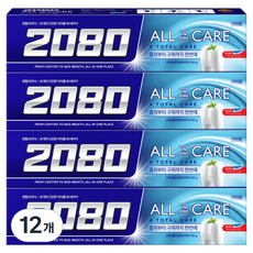 2080 올인원케어 치약, 12개, 200g