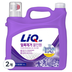 LiQ 去漬多合一洗衣精, 2個, 6L