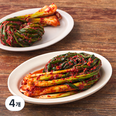 콕집어콕 콕 파김치, 500g, 4개