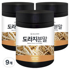 헬로우그린 도라지 분말, 200g, 9개